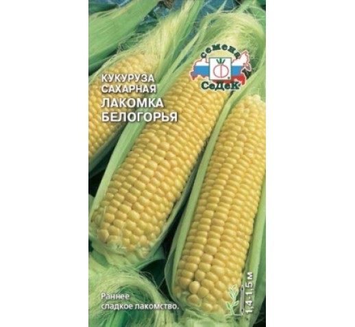 Кукуруза Лакомка Белогорья (сахарная) 5г (Седек)