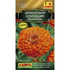 Цинния Сенсация бронзовая 0,2 г ц/п (Аэлита)
